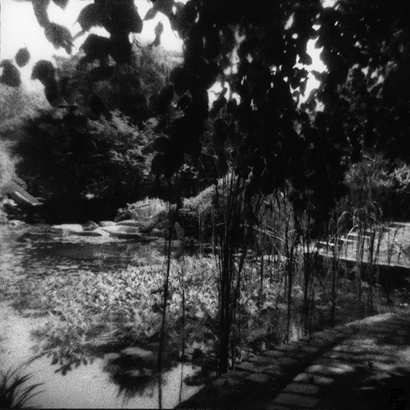 serie-parcs-n10-copie