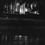 Série " Parcs" N°12 copie par Isabelle MEGLINKY