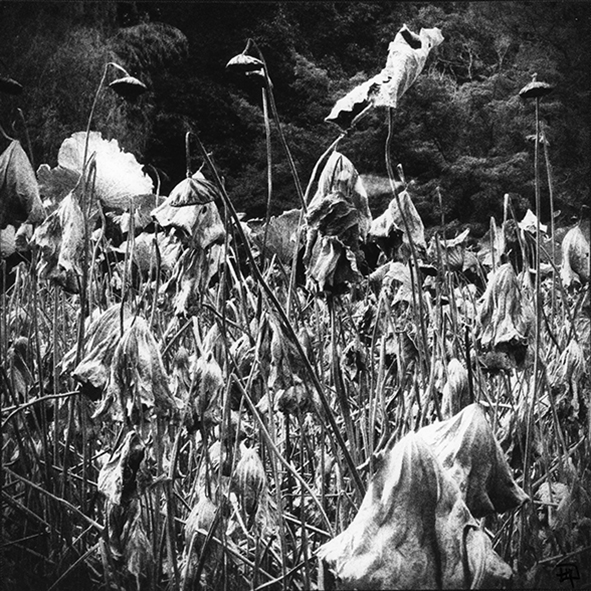 serie-parcs-n9-copie