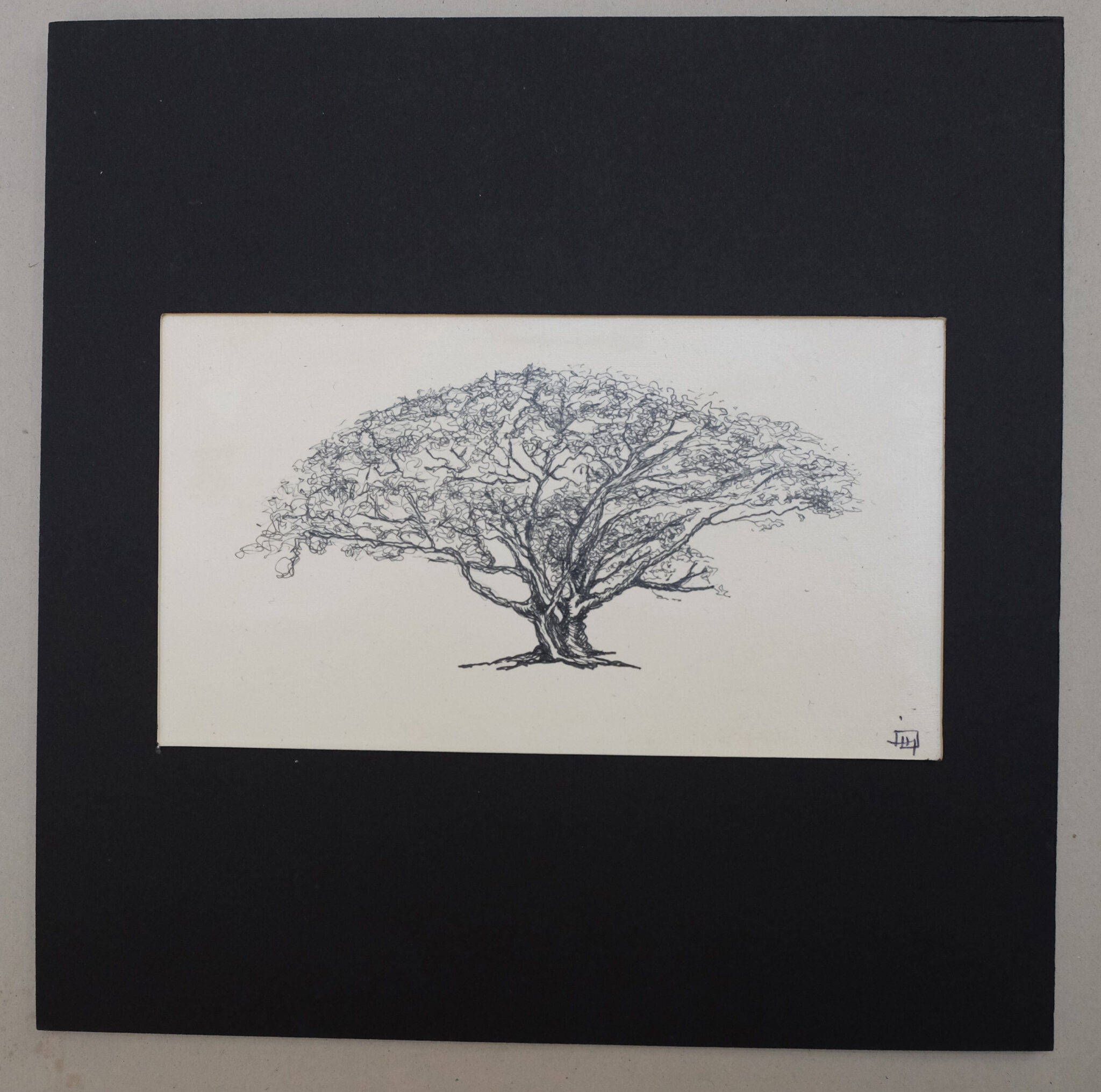 dessin-encredscf6044