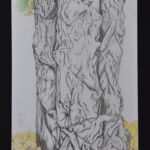 Ginkgo biloba par DAVID BOURE