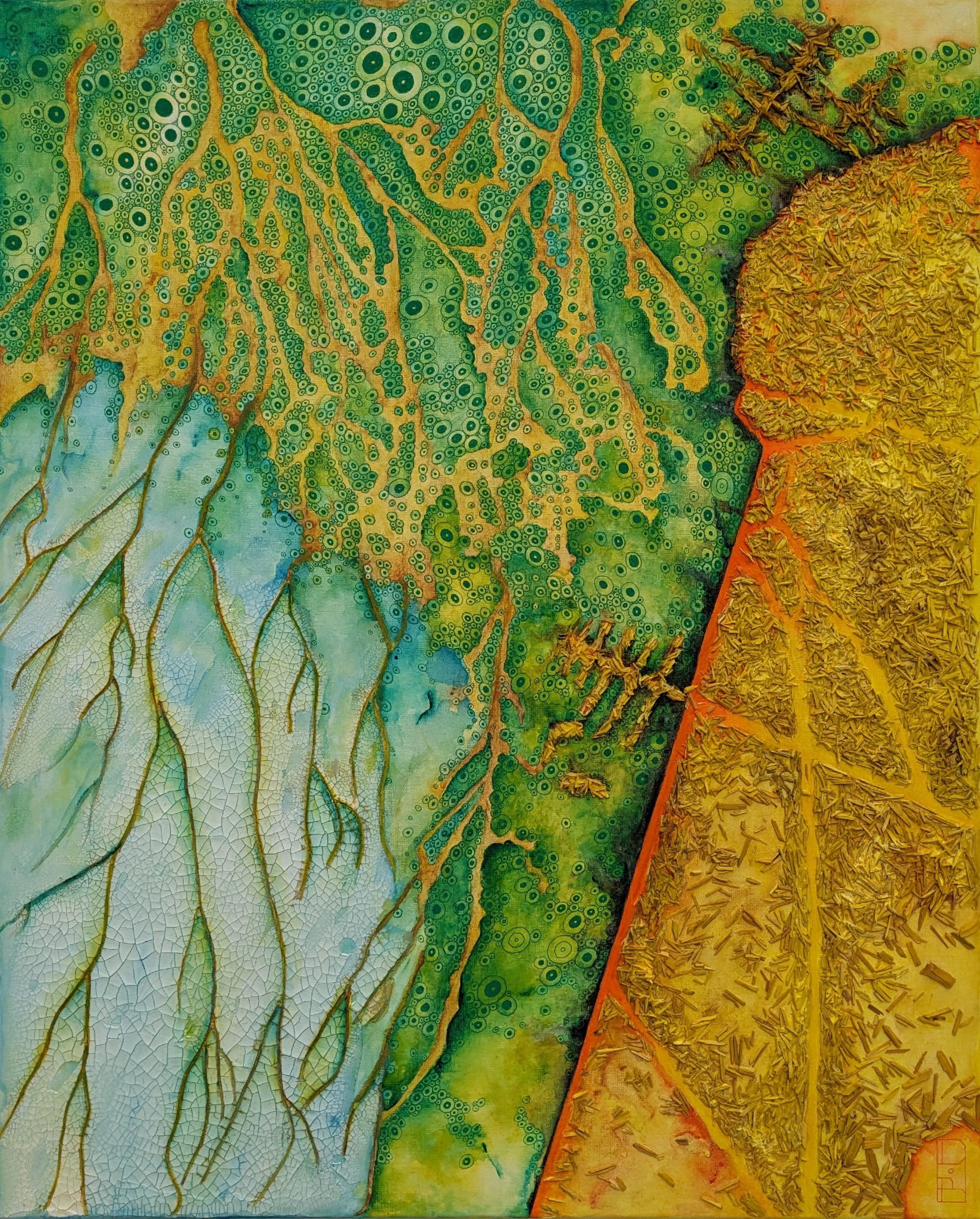 altamira-amazonia-1