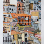 scilla par Paul Rafin