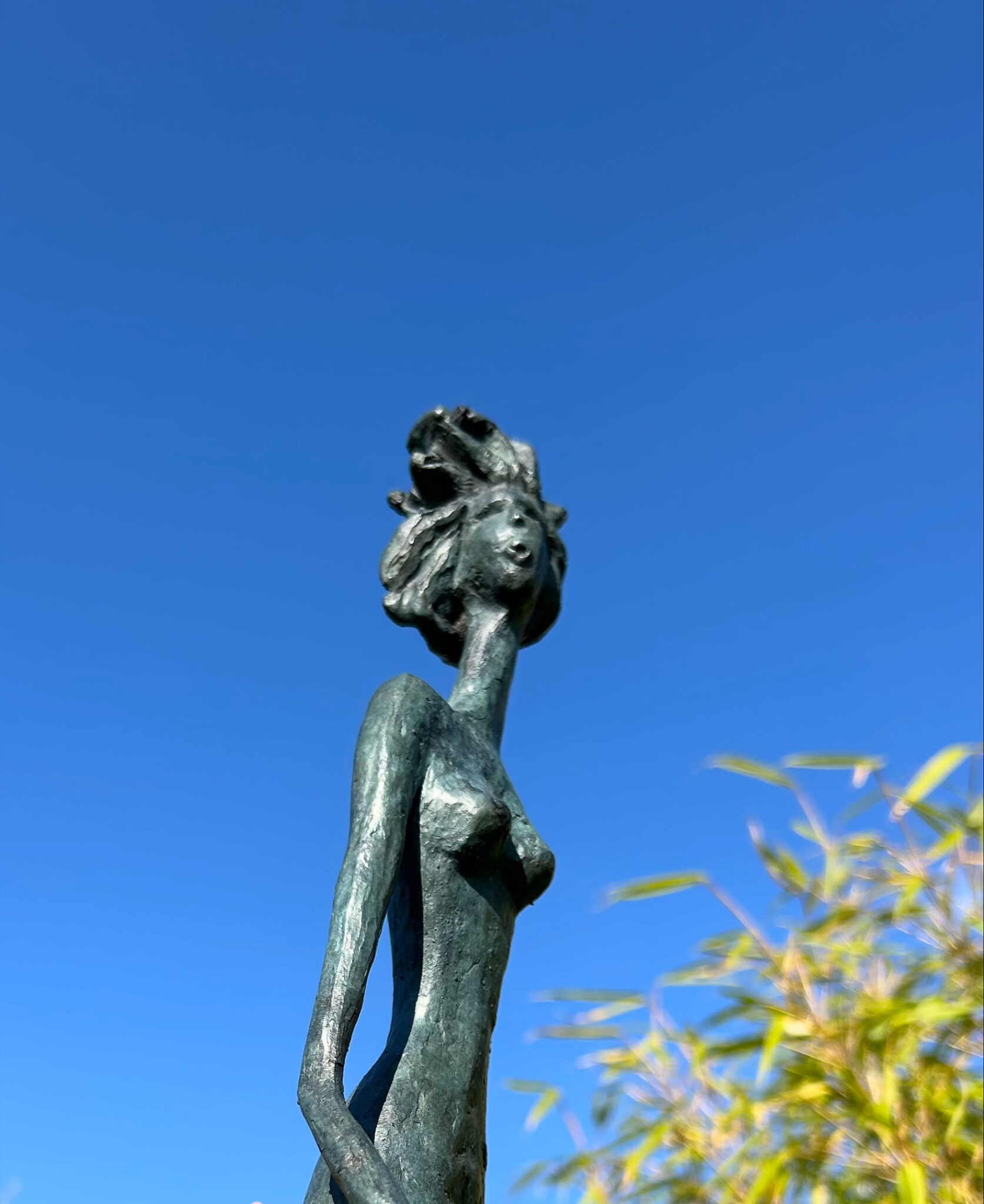 suzie