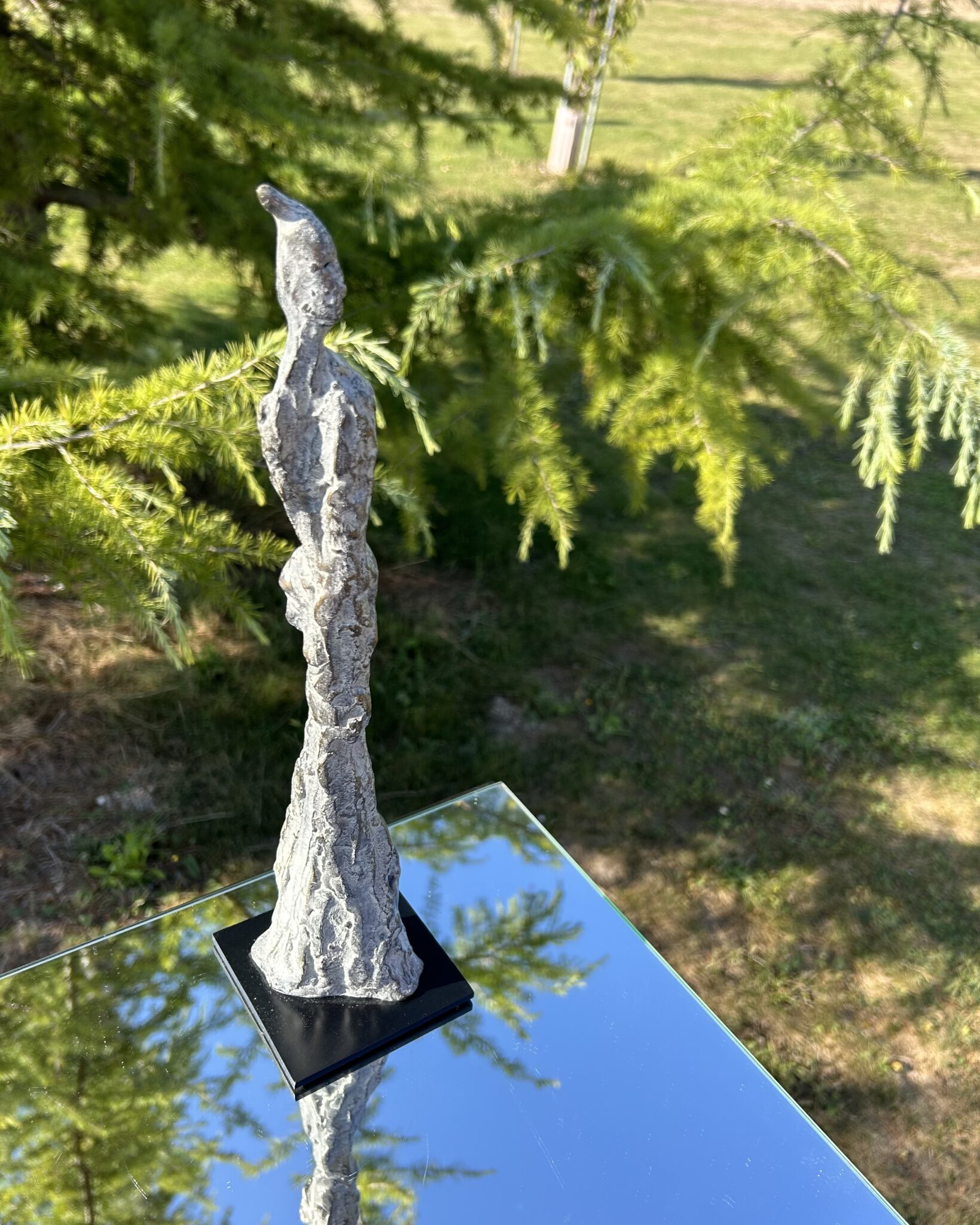 filiforme-2