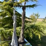 Filiformes par Véronique HENRY