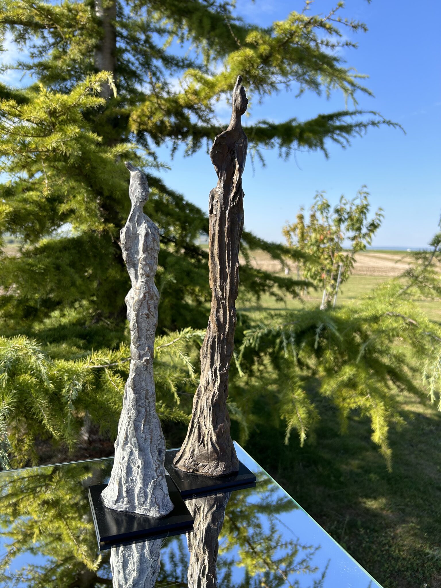 filiformes
