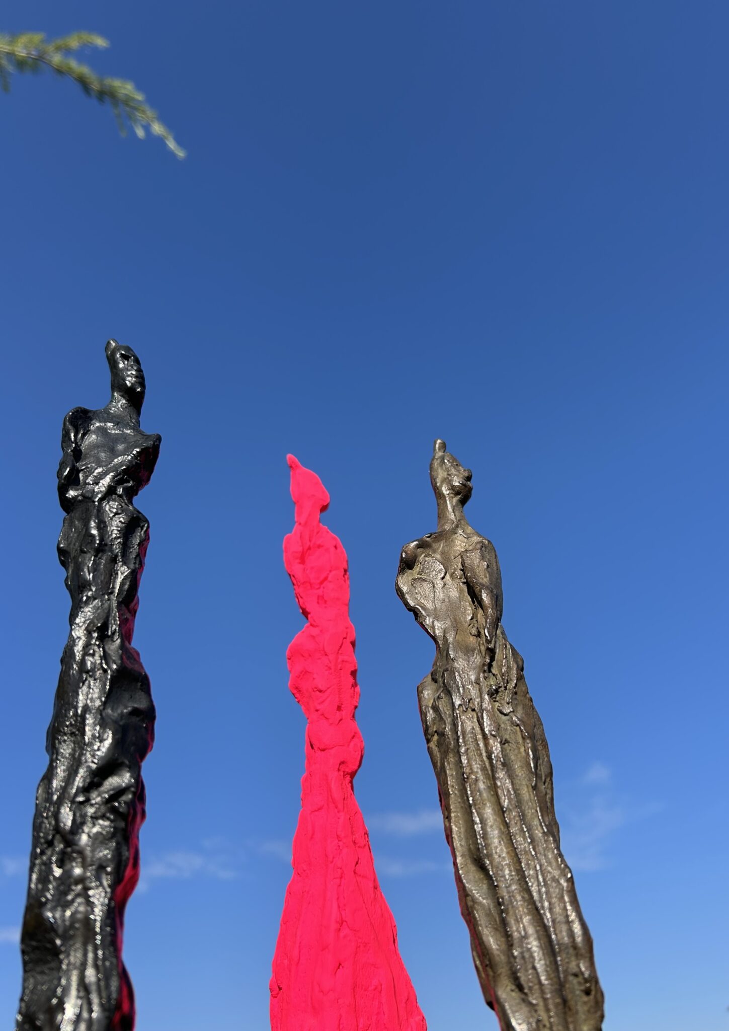 filiformes-2