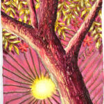 L'identité dans l'arbre 1