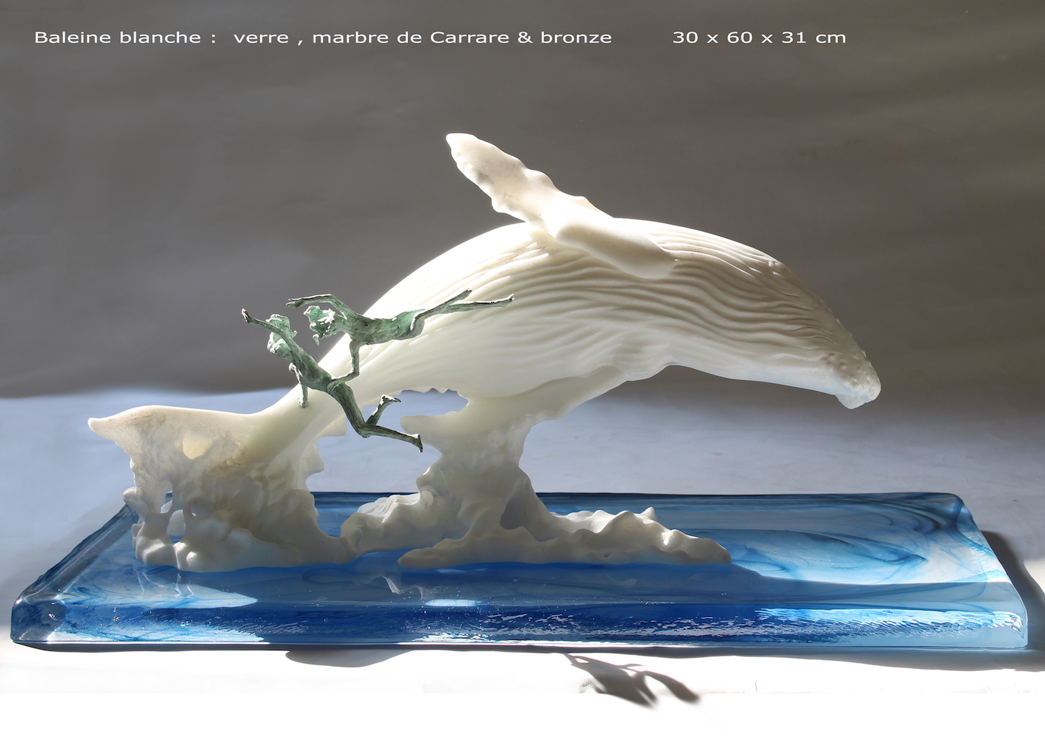 baleine-blanche