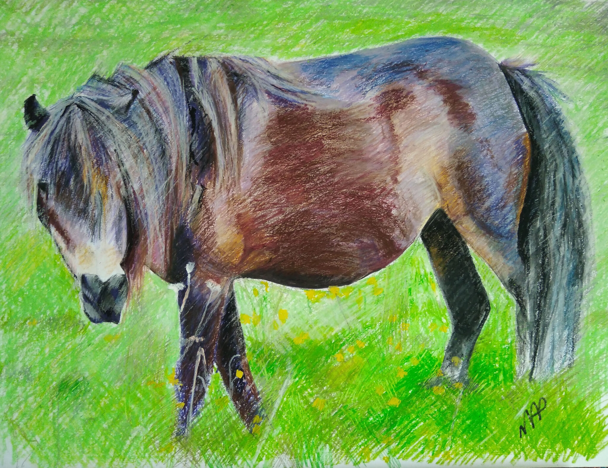 le-cheval-surpeis-n2