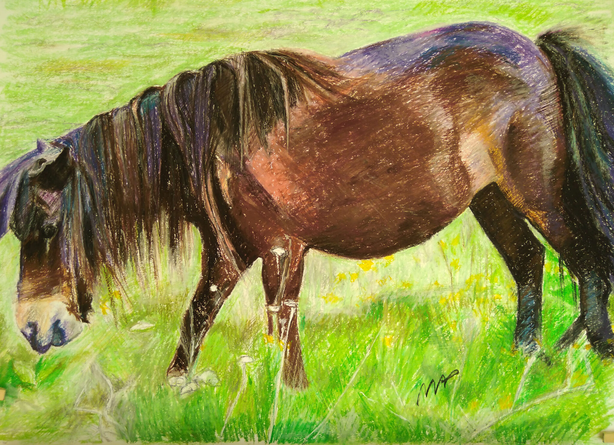 le-cheval-surpris-n1