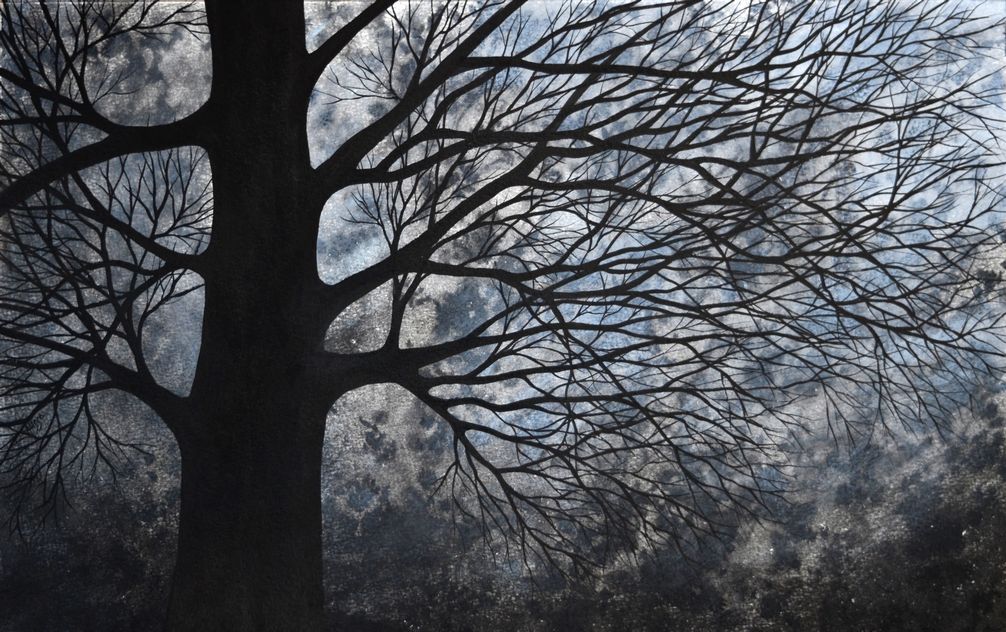 arbre-jaille
