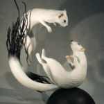 Orbe des neiges