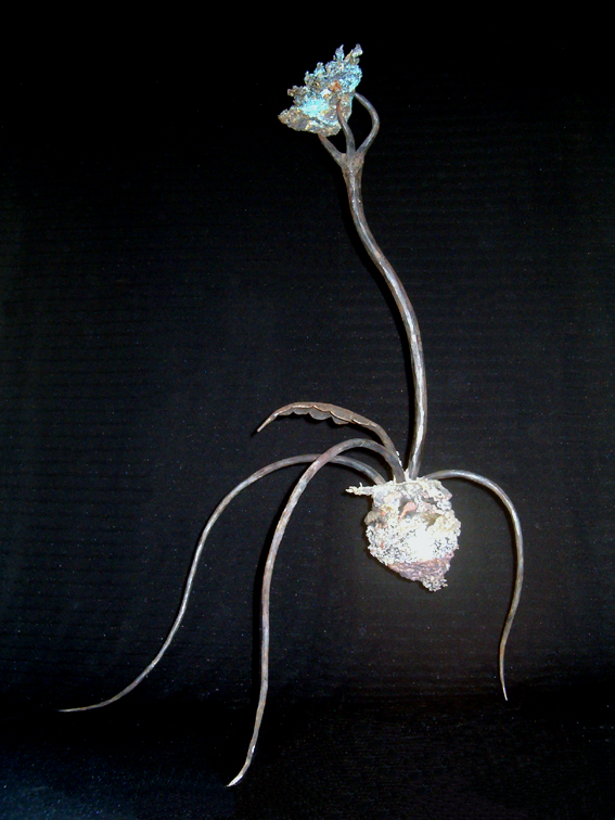 variation-vegetale-15