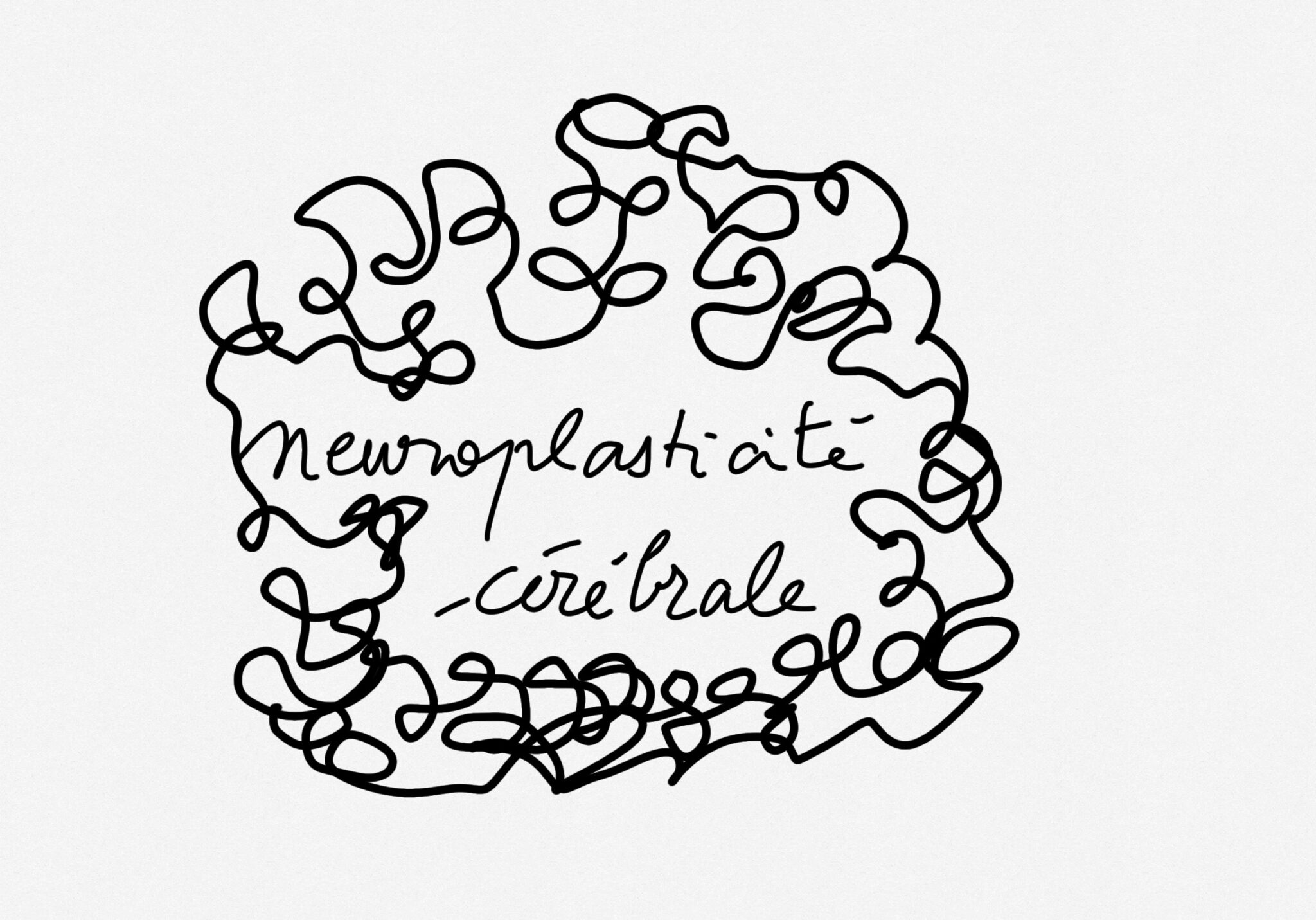 neuroplasticite-1