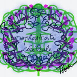 Neuroplasticité 2