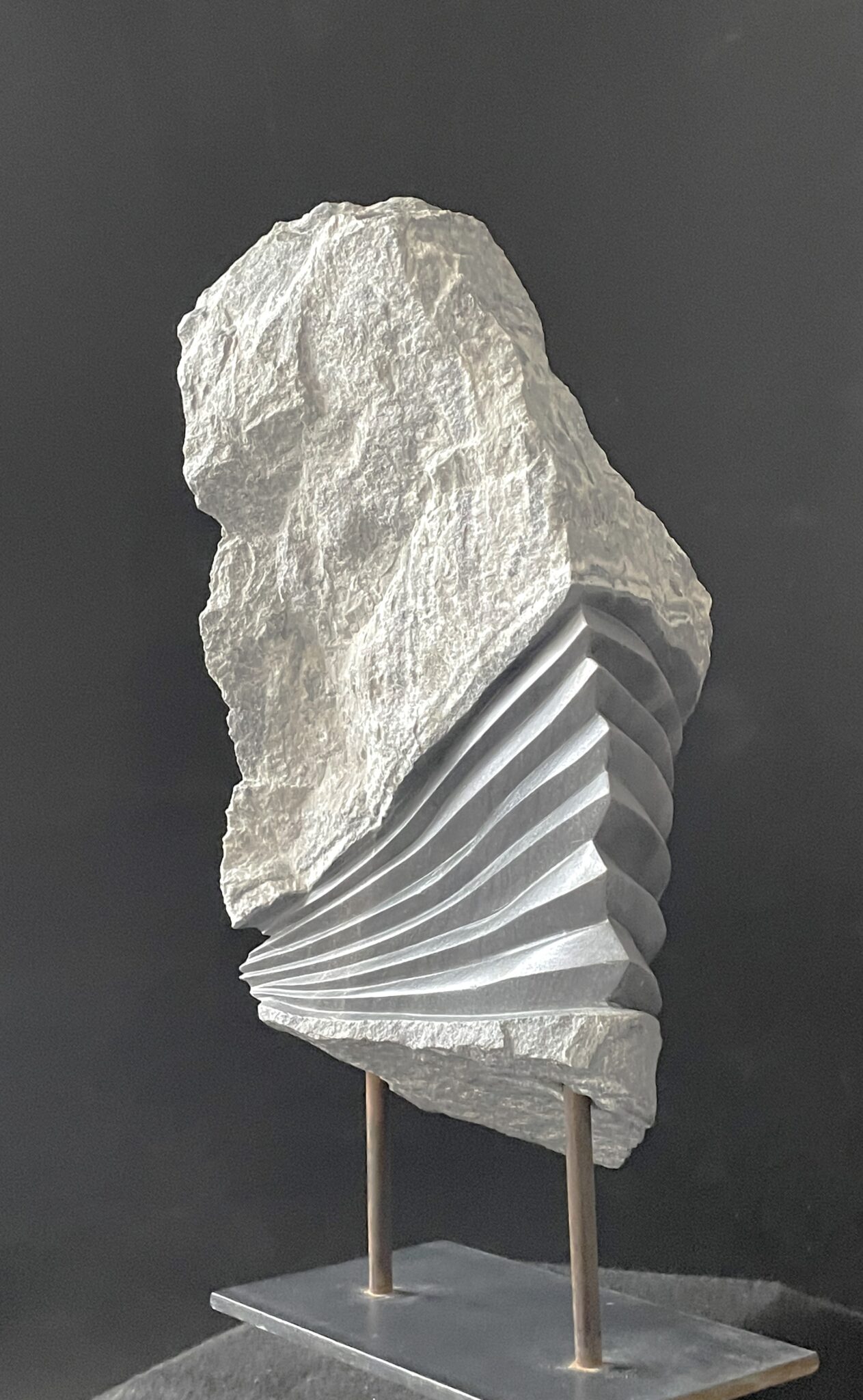 eclosion-12