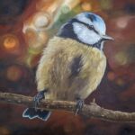 Mésange bleue
