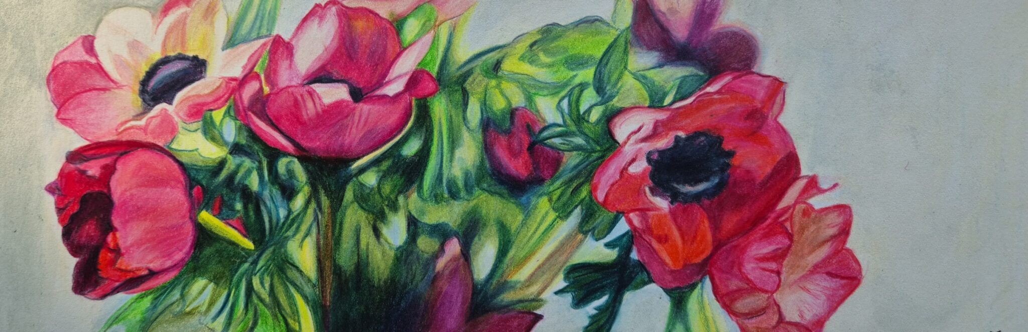anemones-2