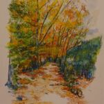 Chemin forestier par GRAUL