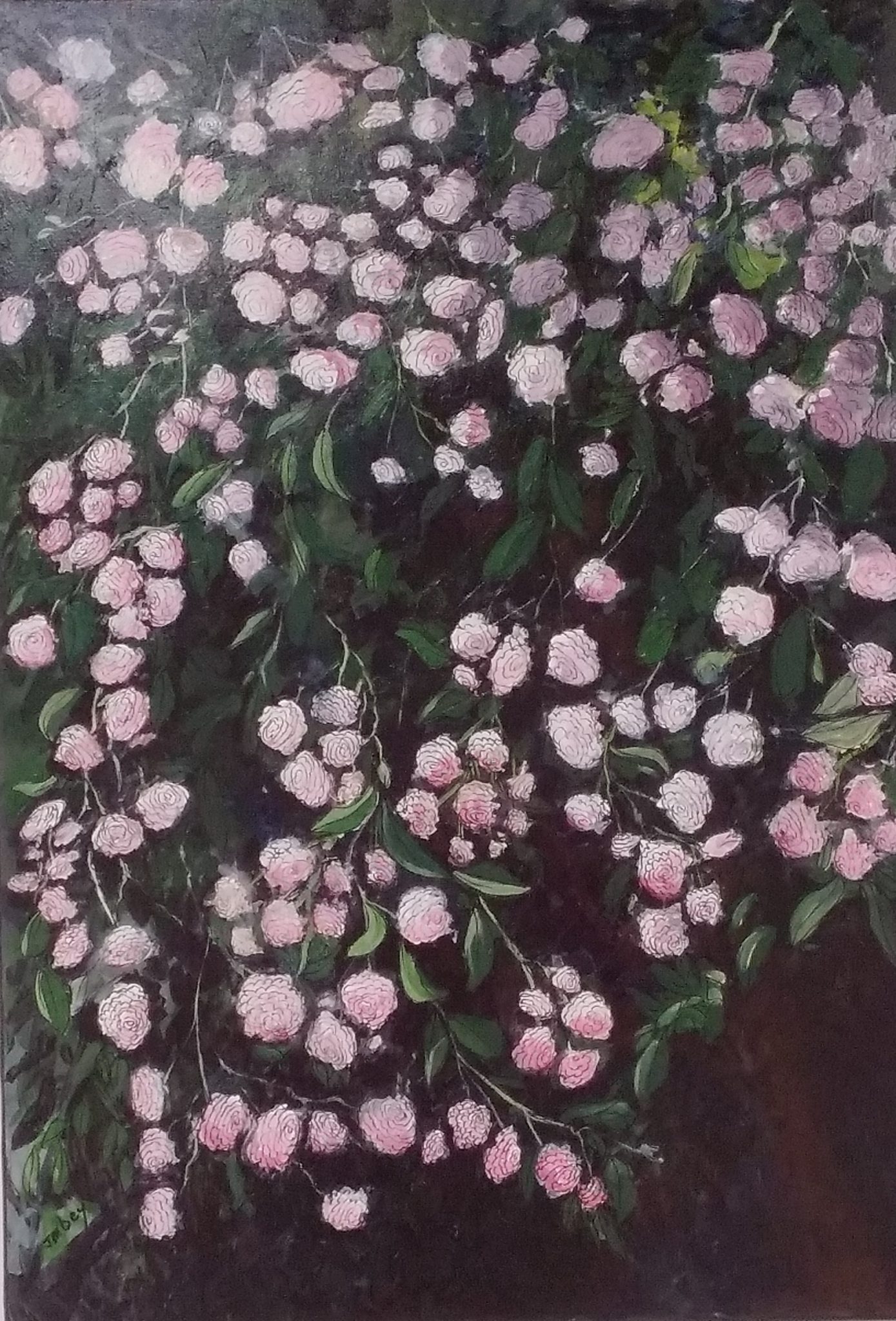 le-rosier-sauvage