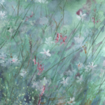 ÉVASION FLORALE