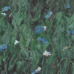 JUNGLE DE BLEUETS