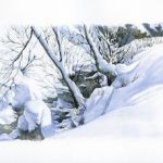 NEIGE AU BORD DU RUISSEAU
