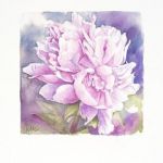 PIVOINE