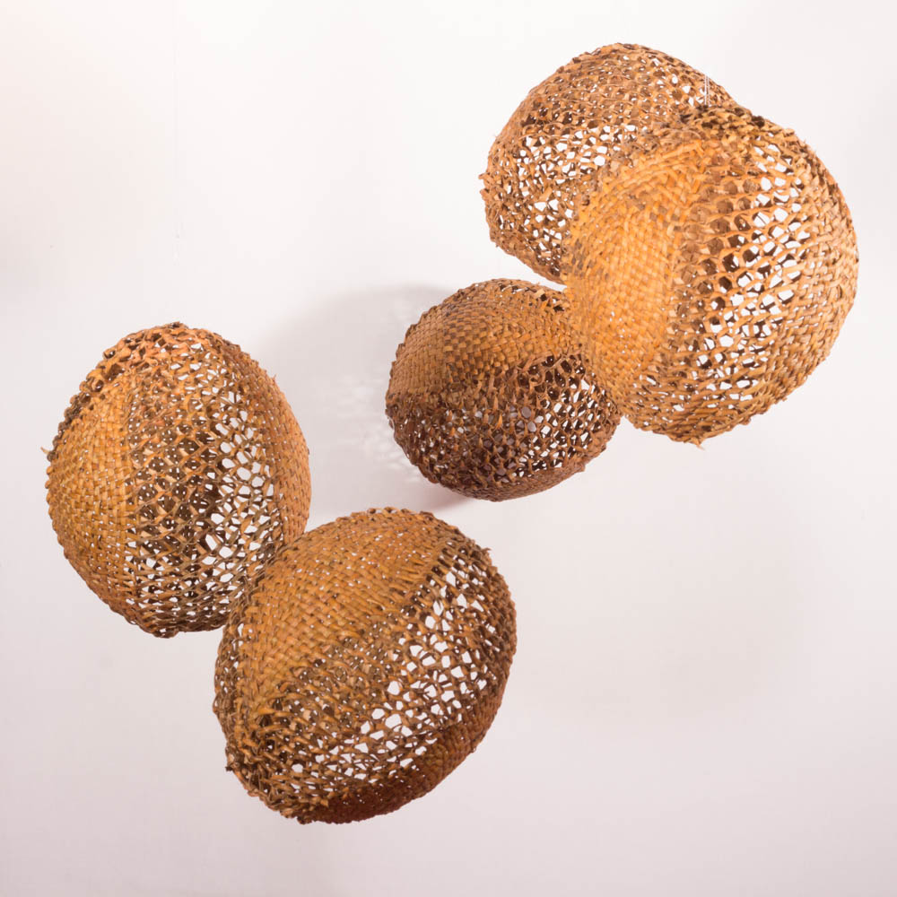 pollens-hellebore