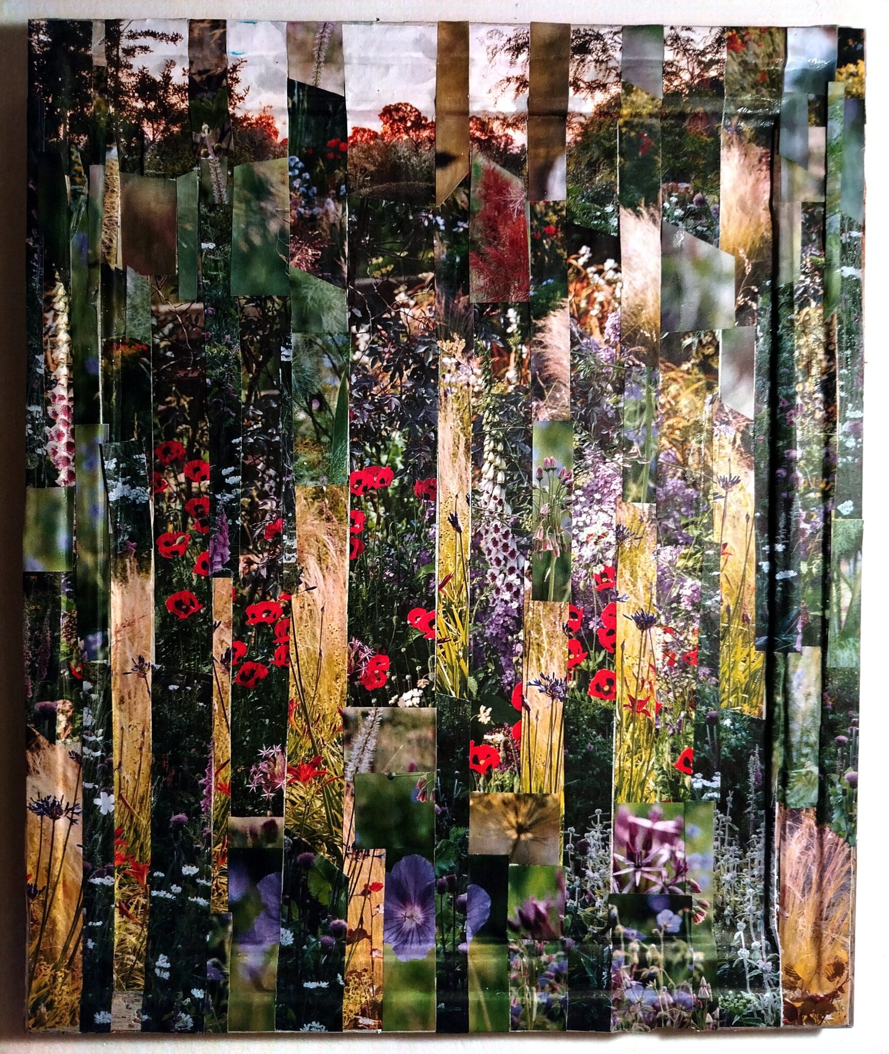 collages-all-over-dec-2025