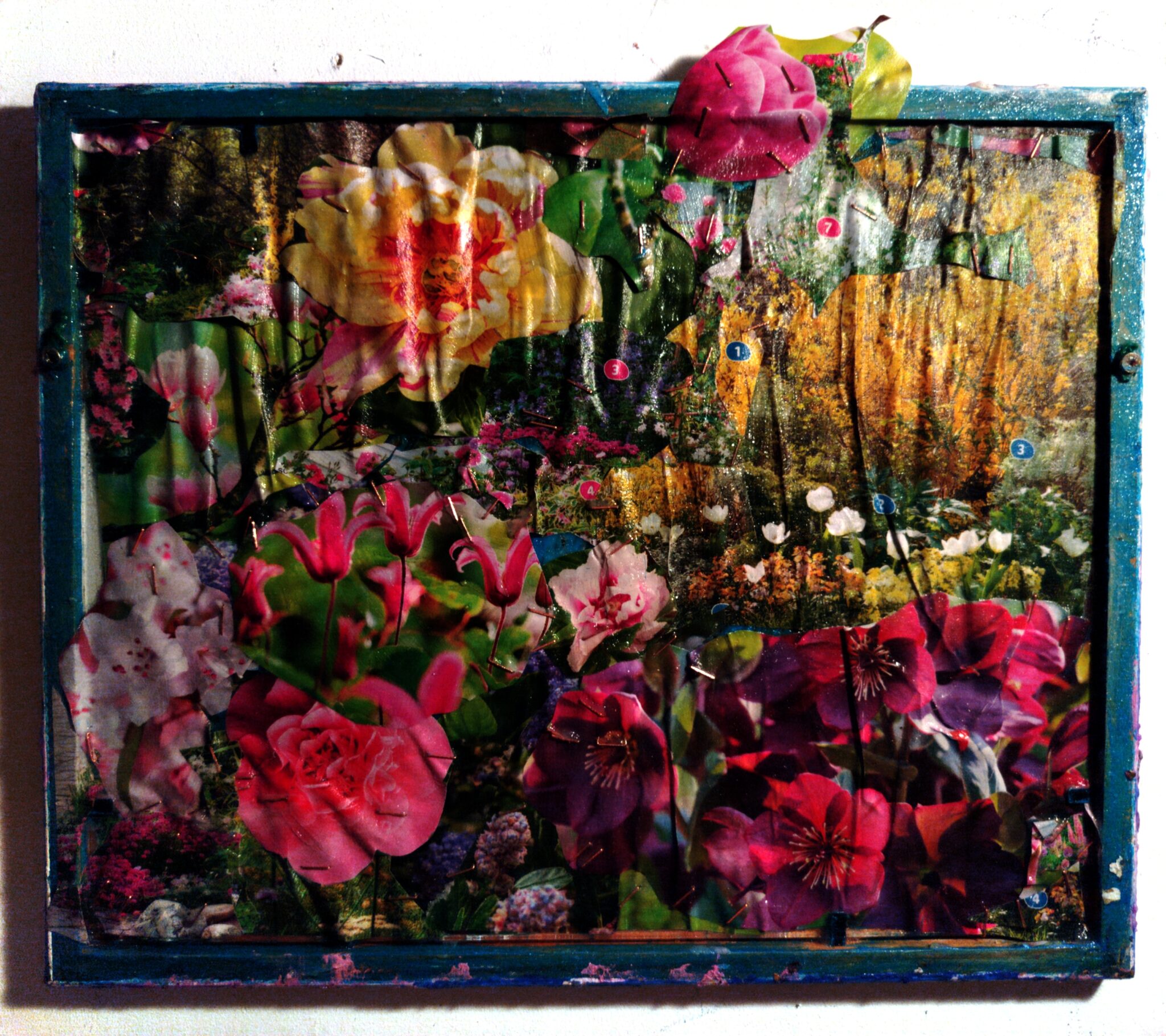 titre-floraison-aout-2025