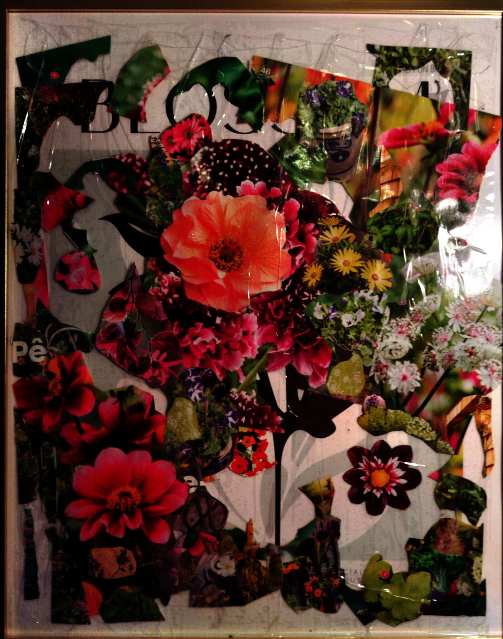 titre-fleurs-decoupees-scotchees