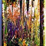 Titre : "Hautes herbes" (janv 2026) par LALDJI