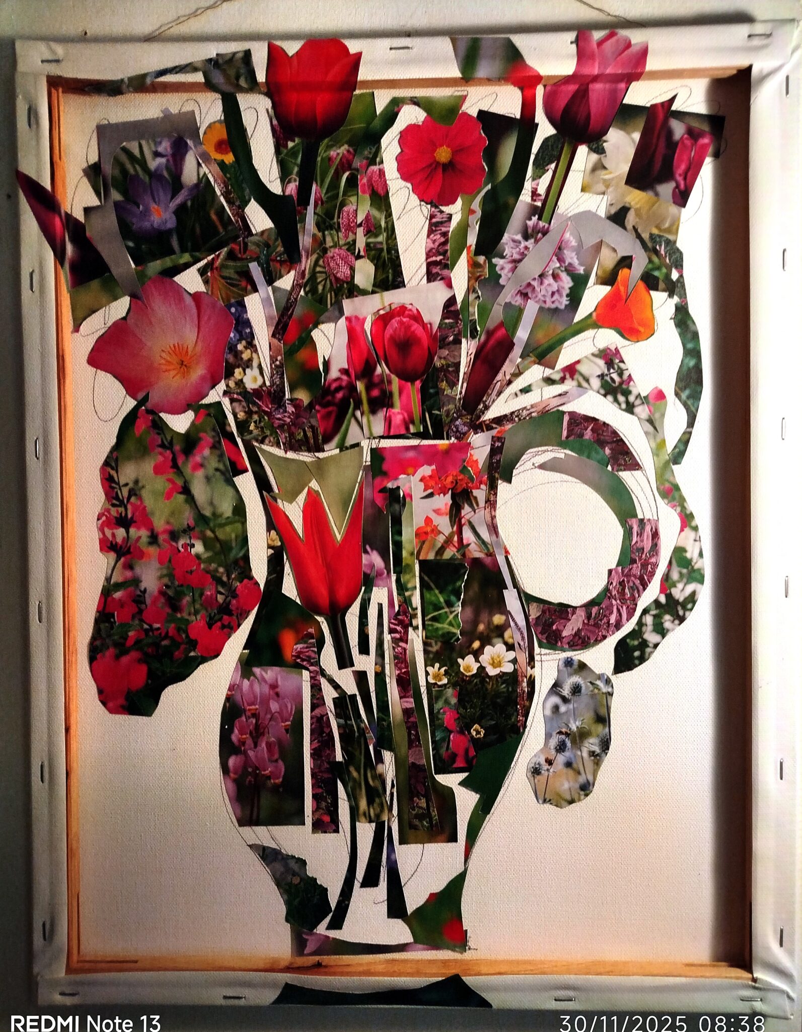 eclosion-nov-2025-dim-50-x-40-cm