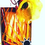 "Lumière solaire" (août 2026) par LALDJI