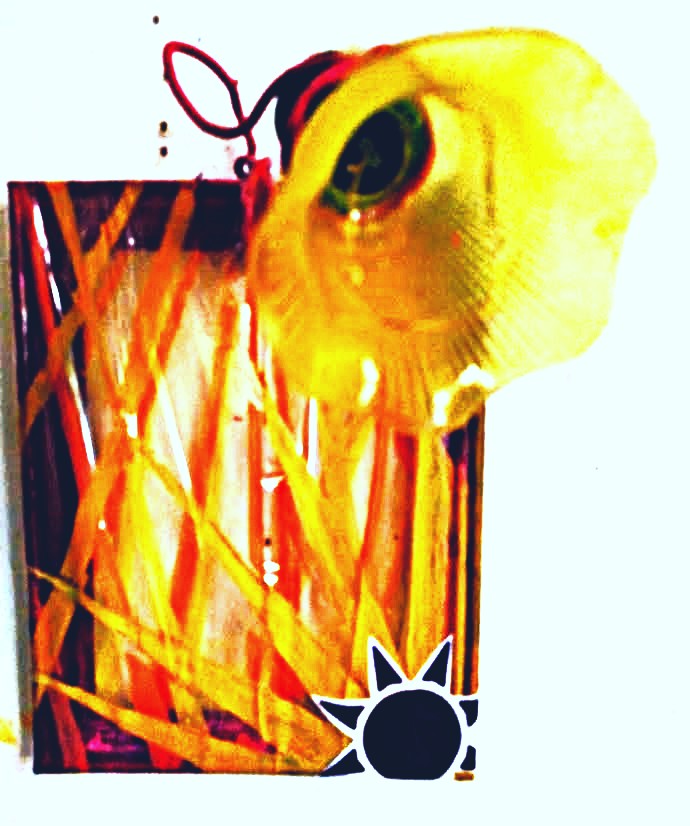 lumiere-solaire-aout-2026