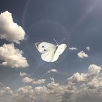 " Chrysalide et Métamorphose § L'Appel " par Christian Veschambre