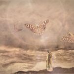 \" D\'Autres Rivages \" par Christian Veschambre