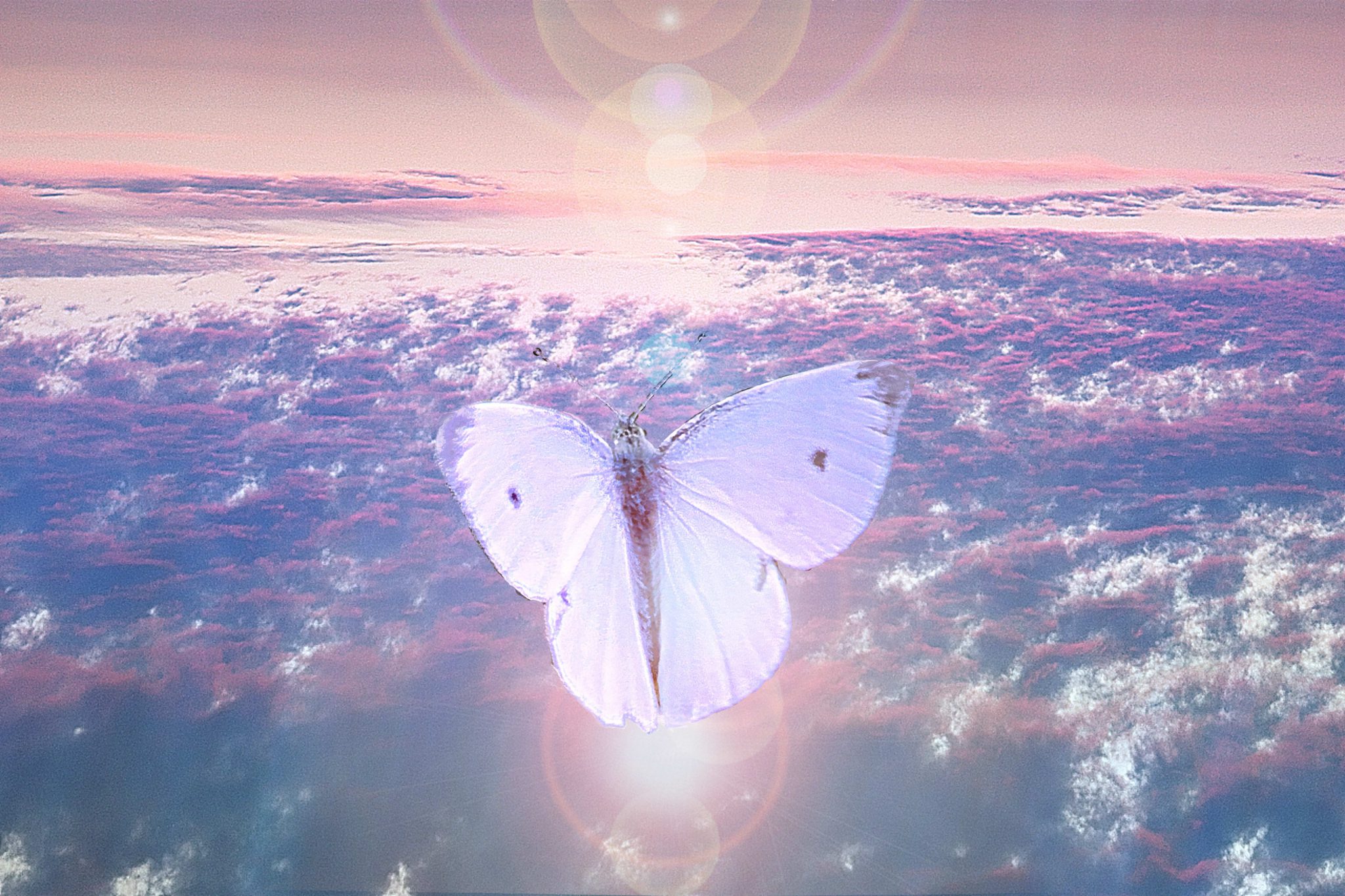 entre-etoile-et-lumiere