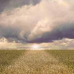 "Sur la Terre comme au Ciel § A l'Ecoute des Chants Célestes " par Christian Veschambre