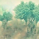 " Arbres de Vies § Génèse " par Christian Veschambre