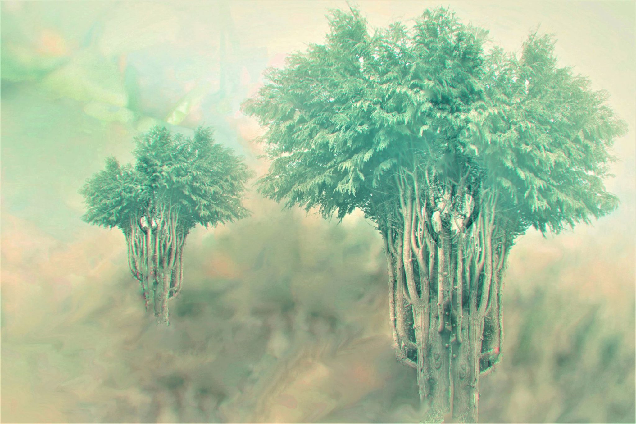 arbres-de-vies-%c2%a7-genese