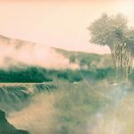 " Arbre de Vie § Aux Sources " par Christian Veschambre