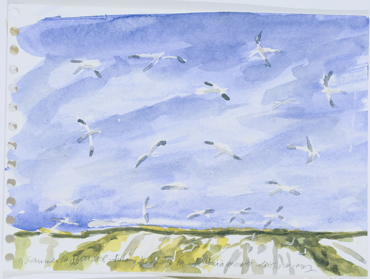 nichoir-a-mouettes-16-h-30-2008