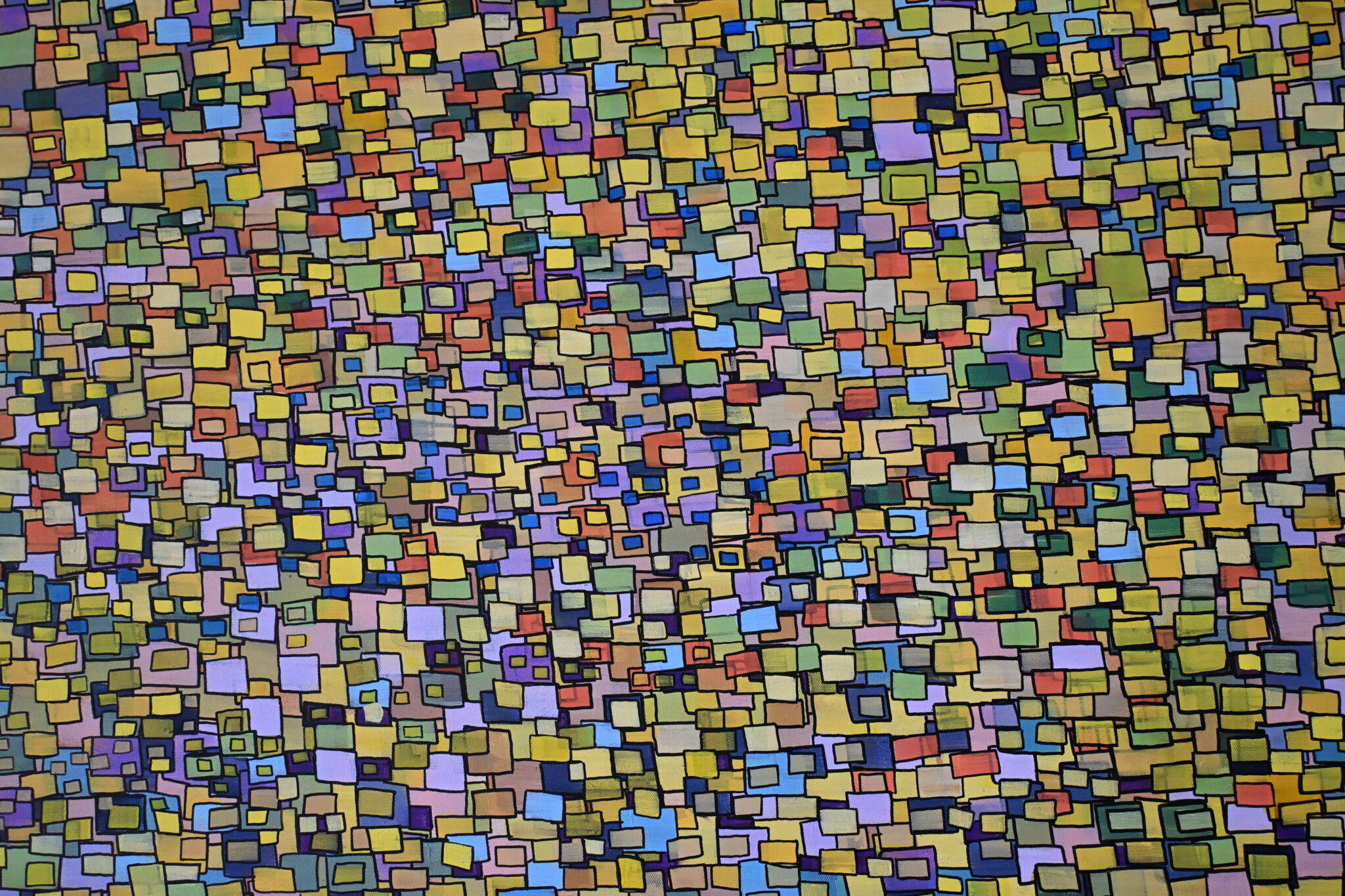 le-combat-des-couleurs-4