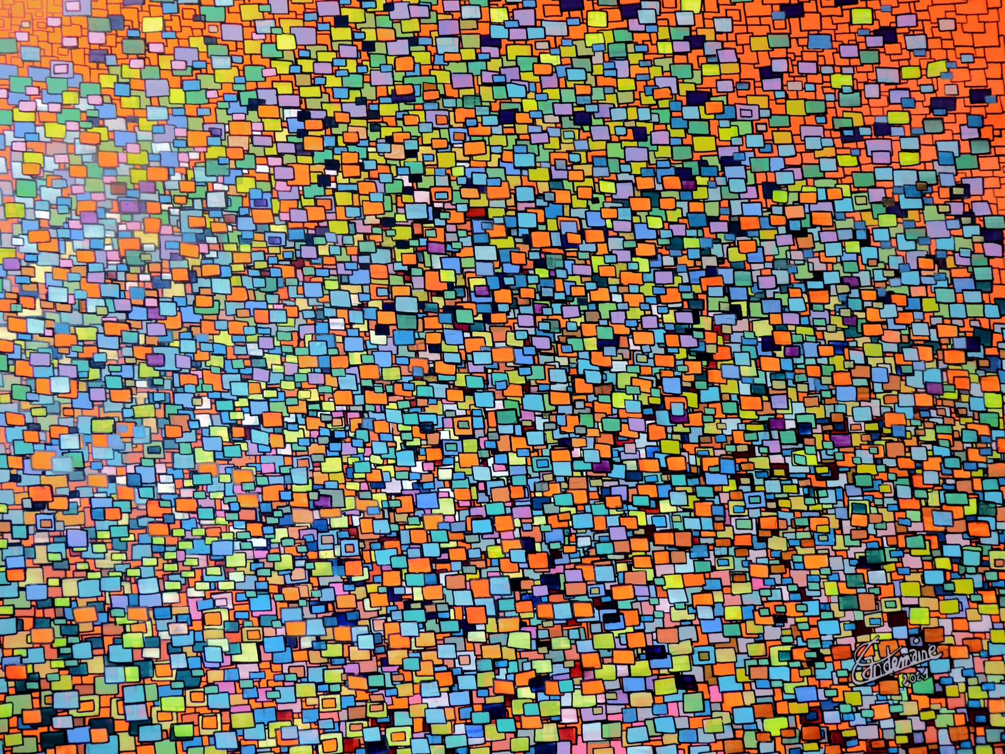 le-combat-des-couleurs