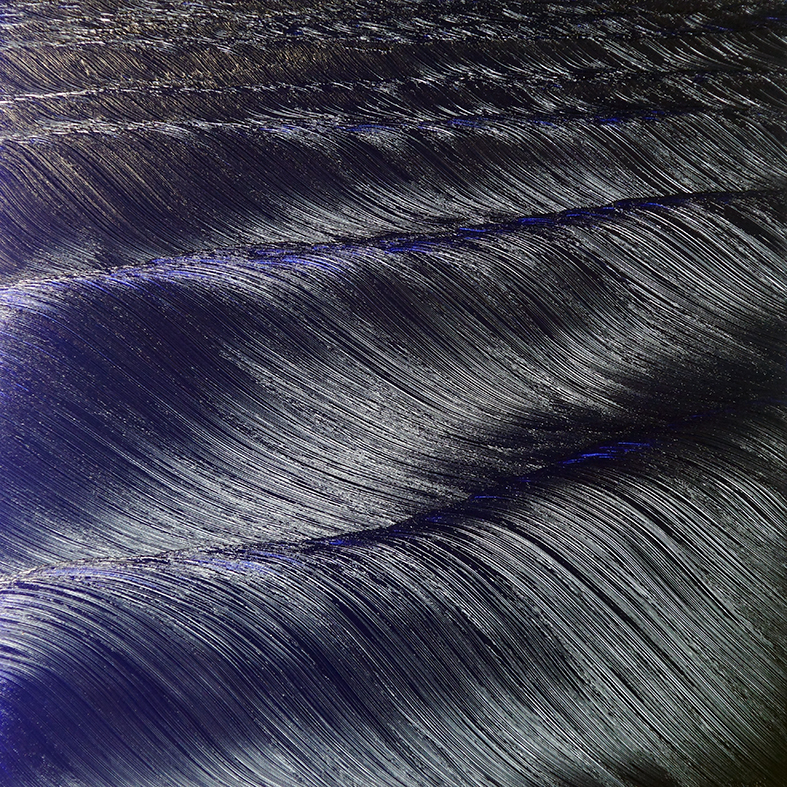 les-ondulations-nocturnes