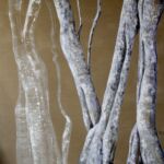 arbres en Inde par Amélie Réveilhac